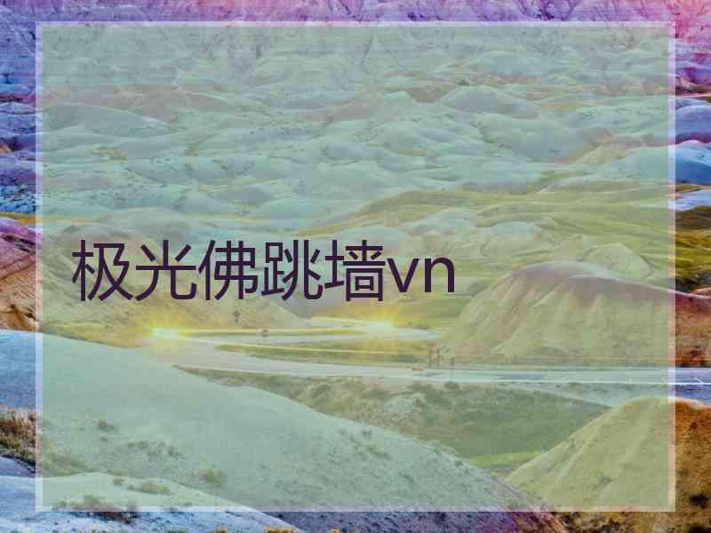 极光佛跳墙vn