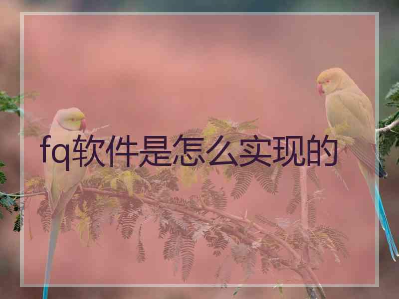 fq软件是怎么实现的