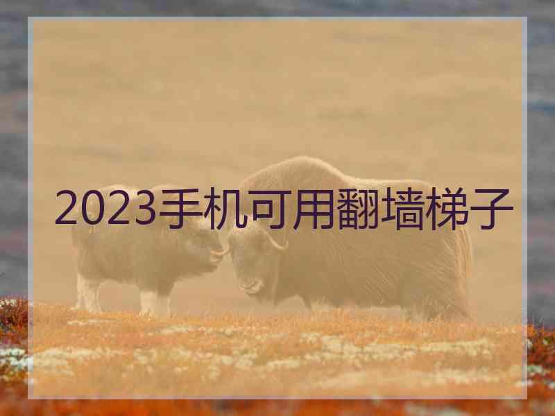 2023手机可用翻墙梯子