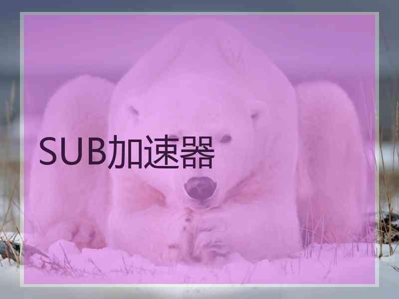 SUB加速器