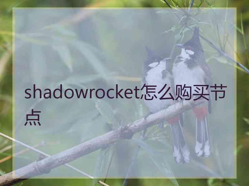 shadowrocket怎么购买节点