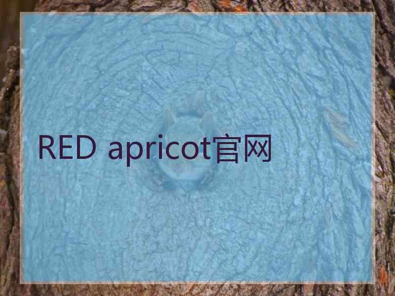 RED apricot官网