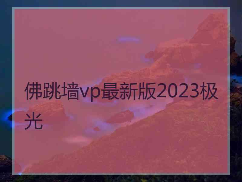 佛跳墙vp最新版2023极光