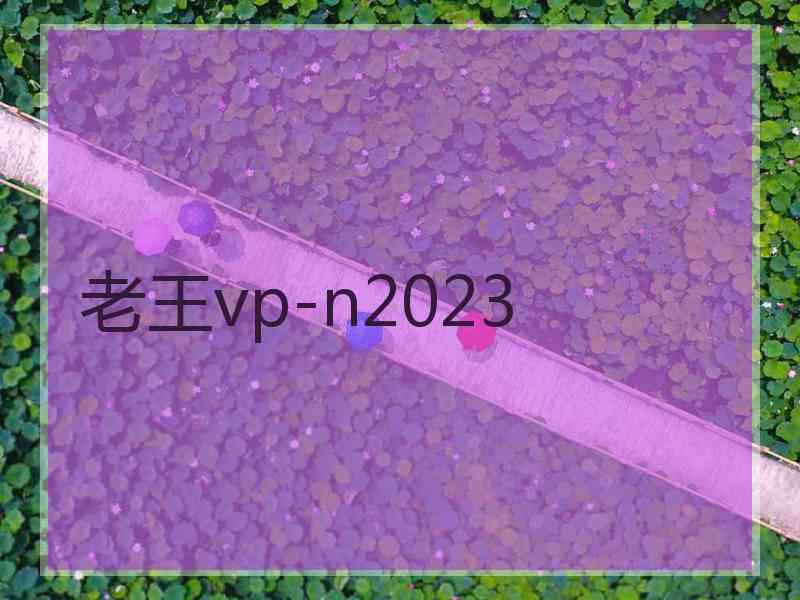 老王vp-n2023