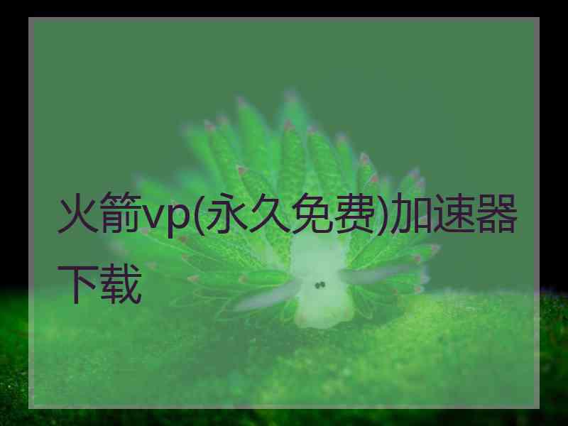 火箭vp(永久免费)加速器下载