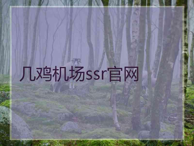 几鸡机场ssr官网