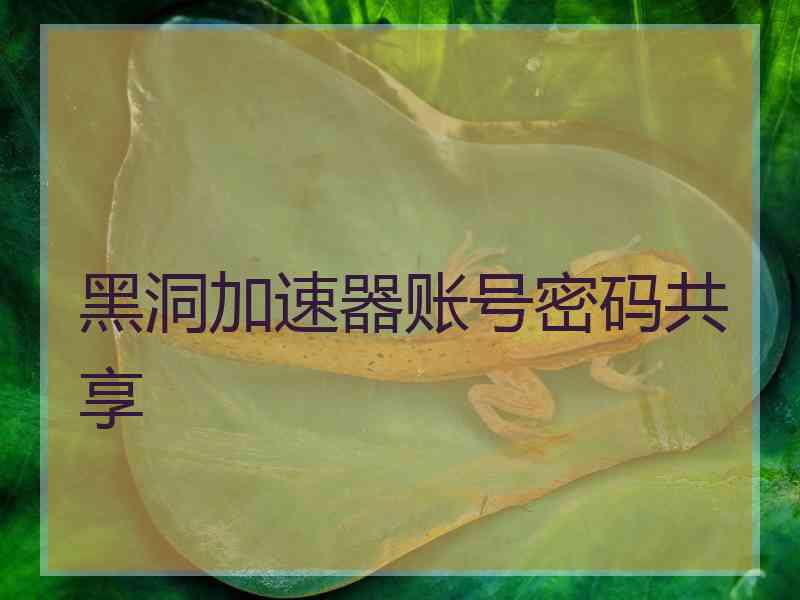 黑洞加速器账号密码共享