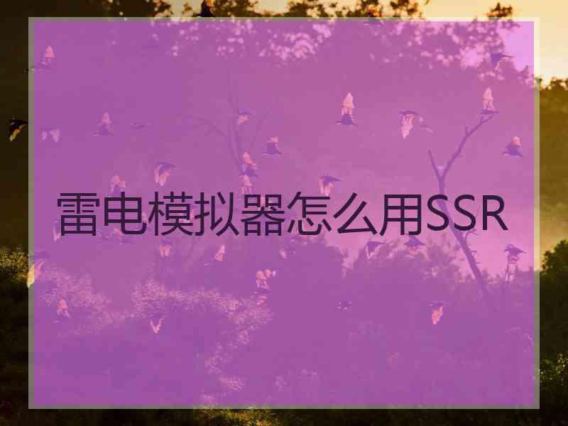 雷电模拟器怎么用SSR