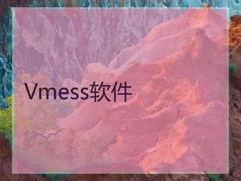 Vmess软件