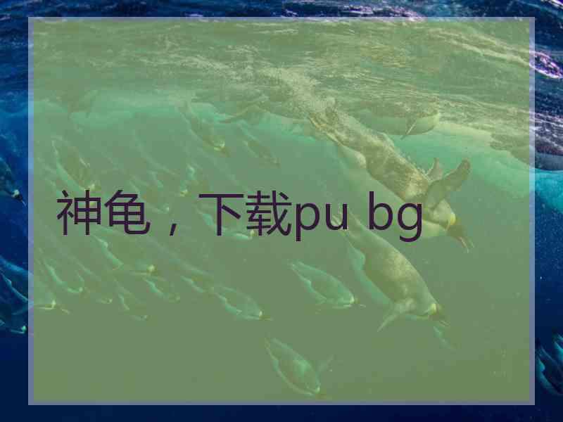 神龟，下载pu bg