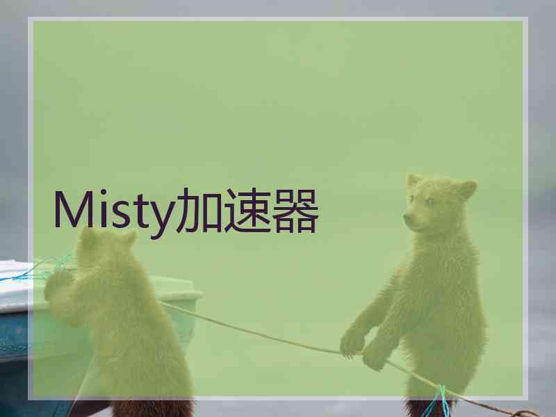 Misty加速器