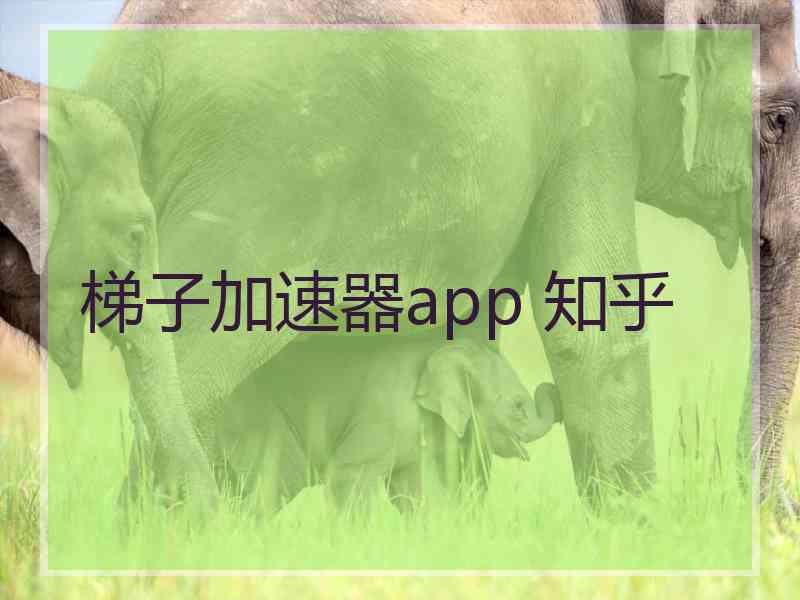 梯子加速器app 知乎