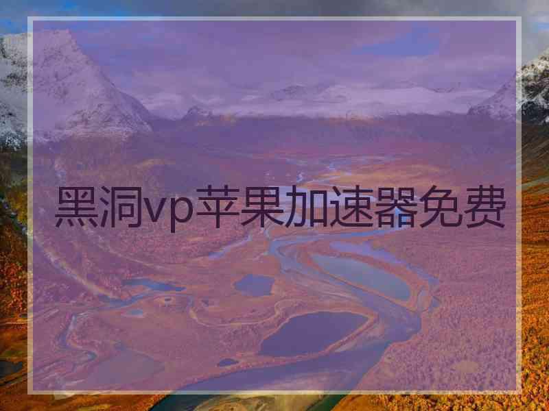 黑洞vp苹果加速器免费