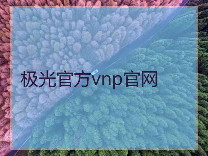 极光官方vnp官网